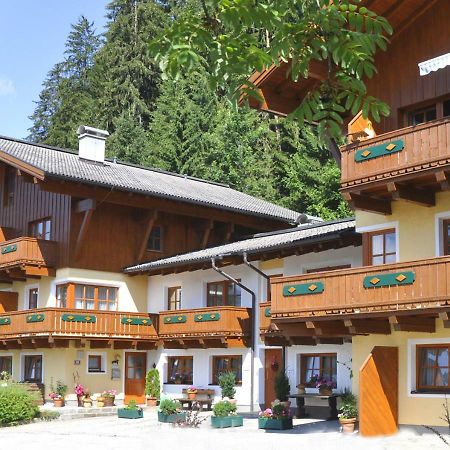 Chalet Zauberflöte Radstadt Exterior foto